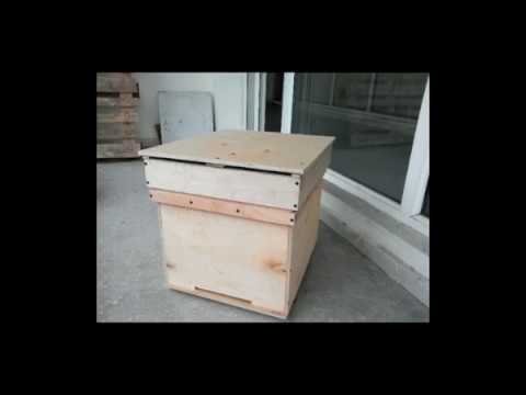 ფუტკრის სკა – Пчелиный улье – Bee hive